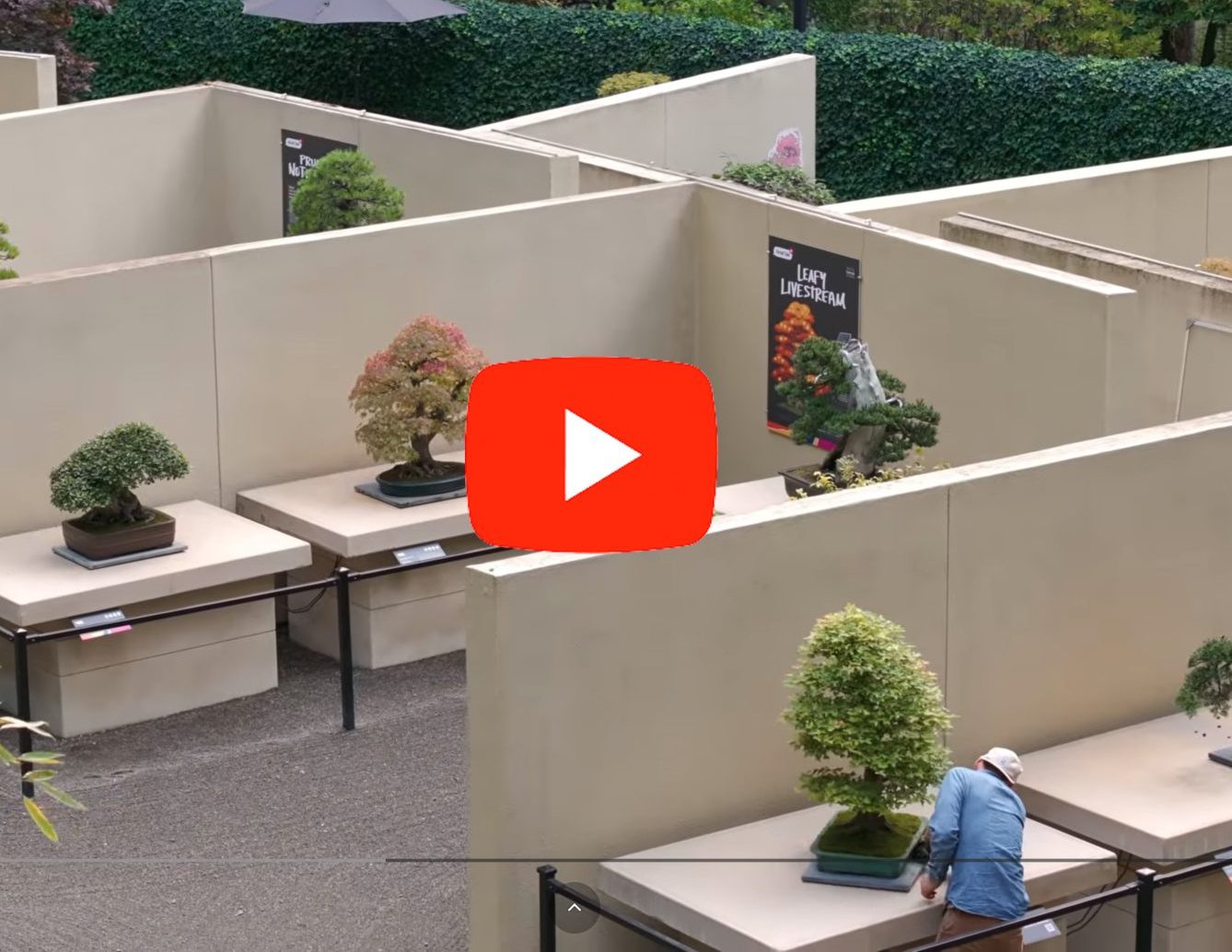 Screenshot Visit FedWay video
